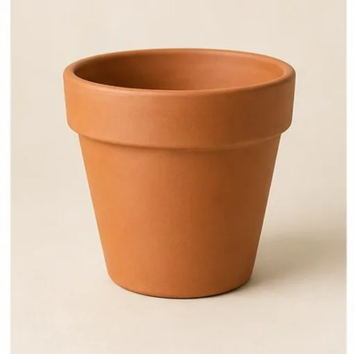 Terracotta Pot — 12 cm Pot